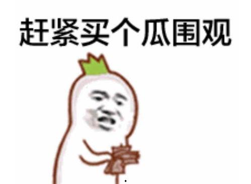 吃瓜群众打码视频