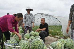 四川绵阳吃瓜事件视频最新,一场网络狂欢背后的真相与反思