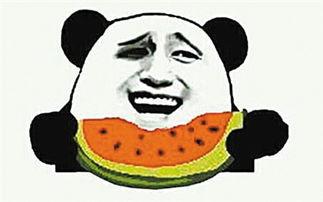 群众吃野瓜视频素材,揭秘群众品尝自然美味瞬间