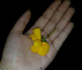 吃瓜盘点视频素材,热门视频素材大揭秘