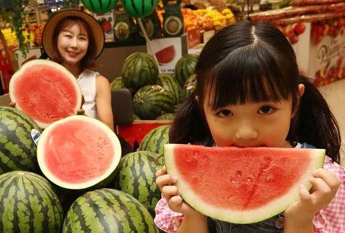 童瓜吃福建人视频,一场美食与文化的碰撞之旅