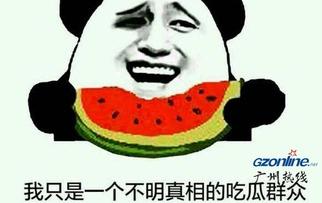 怎么找吃瓜视频出处,轻松追踪热门视频来源