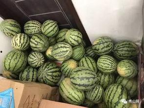 花店最新吃瓜视频大全播放,一网打尽行业热点瞬间