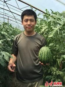 吃瓜山东村书记原视频,一场引人入胜的乡村风云录