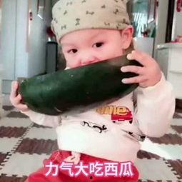 吃瓜小女孩全部视频,全网热议的童年奇遇记