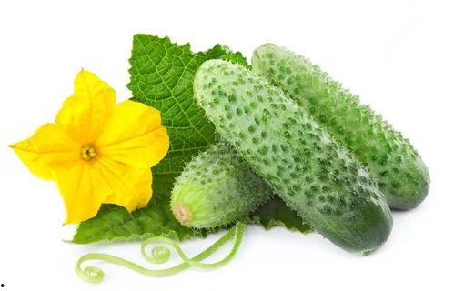 真假千金吃瓜系统视频,揭秘吃瓜系统背后的惊人真相