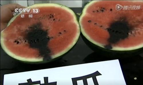 吃瓜模型视频,短视频背后的AI黑科技