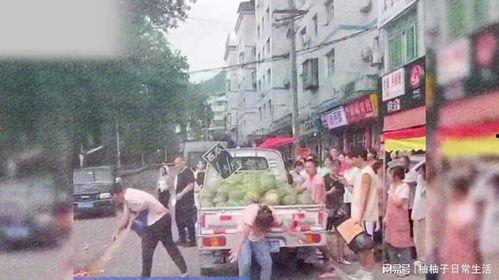 柳州城市吃瓜事件视频,一场引发热议的街头冲突