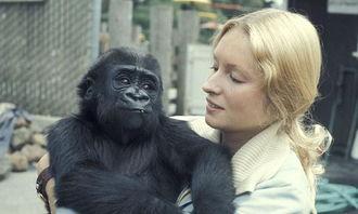 美女吃瓜像猩猩图片视频,这画面太美了！