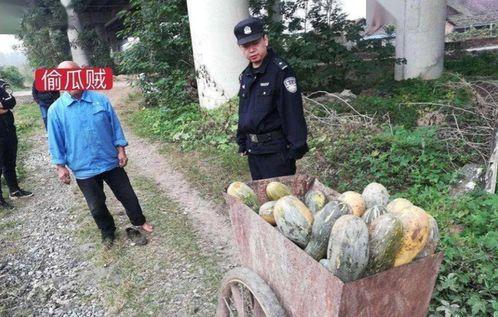 六安金寨吃瓜事件视频曝光,视频曝光引发社会关注