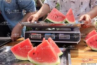 山东新泰吃瓜事件视频