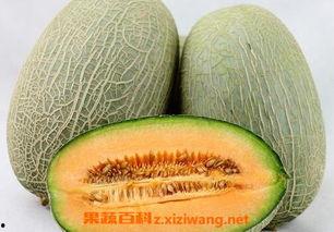 吃哈密瓜吐籽怎么办啊视频,轻松应对哈密瓜吐籽烦恼