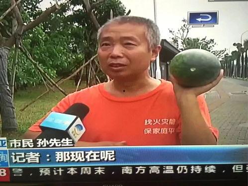 定远最新吃瓜事件新闻视频,揭秘背后真相，视频曝光惊人细节