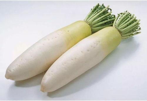 水瓜渣苗可以吃吗视频大全