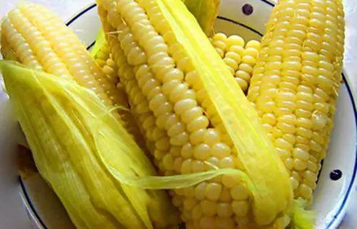 玉米浆煮瓜叶可以吃吗视频