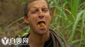 贝爷吃瓜视频完整版