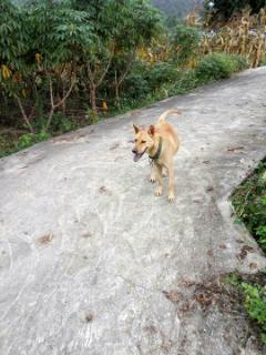 吃瓜变猴视频,揭秘神奇视频背后的科学奥秘